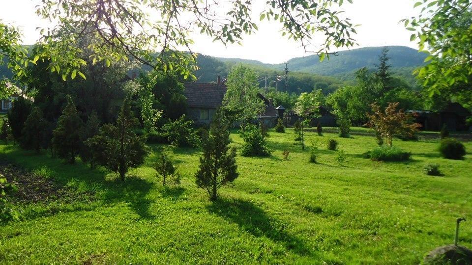 Bableves Vendégház Hotel Felsőtold Kültér fotó