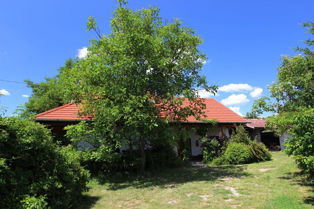 Bableves Vendégház Hotel Felsőtold Kültér fotó