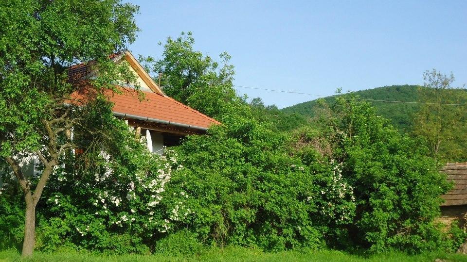 Bableves Vendégház Hotel Felsőtold Kültér fotó